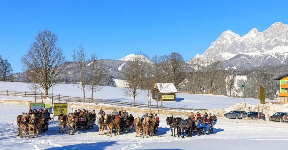 Haus Schroffenstein Lejlighed Schladming Eksteriør billede
